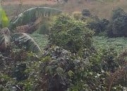 Warga Desak Galian C di Pamatang Silimahuta Stop Beroperasi