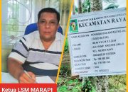 Diduga Kepentingan Politik, Proyek Swakelola Kecamatan Raya Dikerjakan Perusahaan (CV)