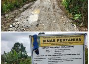 Proyek Pengerasan Jalan Tani di Kecamatan Raya Diduga Asal Jadi dan Tidak Transparan