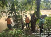 Polsek Tanah Jawa Bersinergi Melalukan Pencarian Warga Hanyut saat Menyeberang Sungai Bah Boluk di Hutabayuraja Simalungun