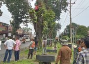 Forkopimca Siantar dan Instansi Terkait Tertibkan Pohon Rawan Tumbang di Jalur Vital Kecamatan Siantar