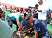 Hari Raya Idul Adha 1447 H di Kabupaten Simalungun: Suasana Syahdu, Bupati Sembelih Langsung Hewan Qurban